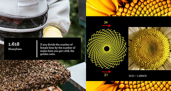 Golden Ratio